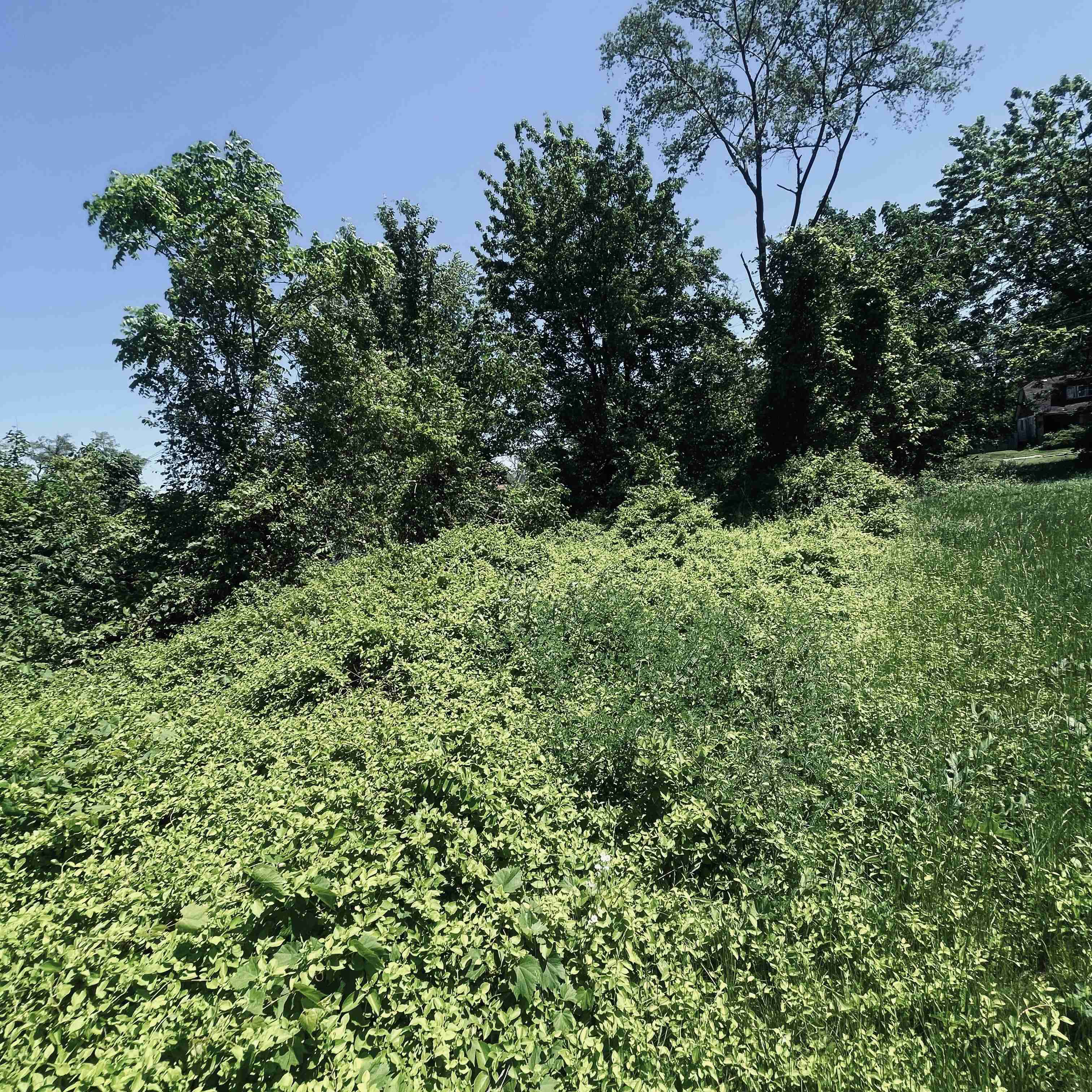 13530 Sorrento (19).jpg